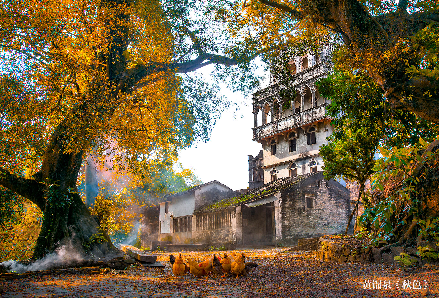 4、黃錦泉-秋色（三等獎(jiǎng)）0.jpg