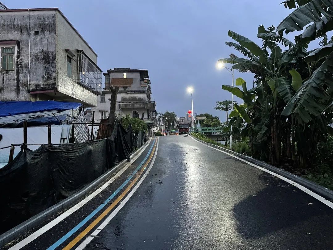8修剪后，道路變得亮堂，附近村民的安全隱患也得到了解決.jpg