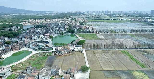 從長沙街道西溪村上空俯瞰，遠處青山疊翠、高樓聳立，近處屋舍儼然，池塘星羅棋布，農(nóng)田成方連片