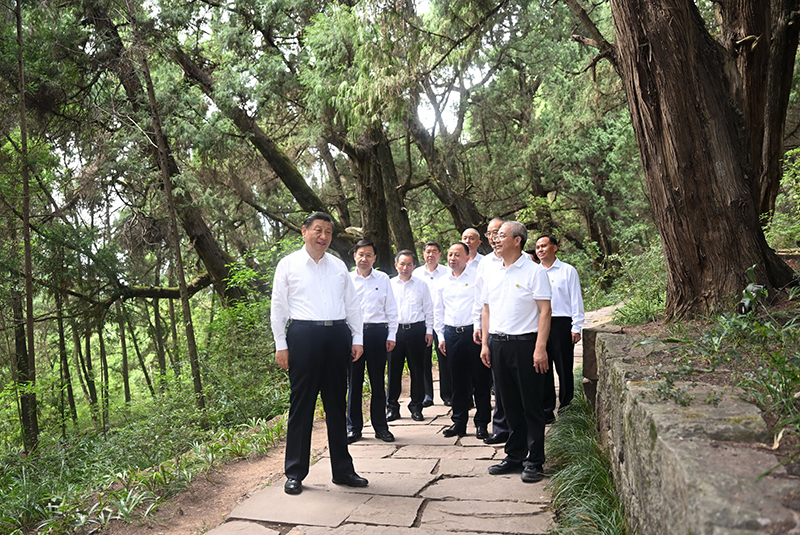 7月25日至27日，中共中央總書記、國家主席、中央軍委主席習(xí)近平在四川考察。這是25日下午，習(xí)近平在廣元市劍閣縣翠云廊考察。