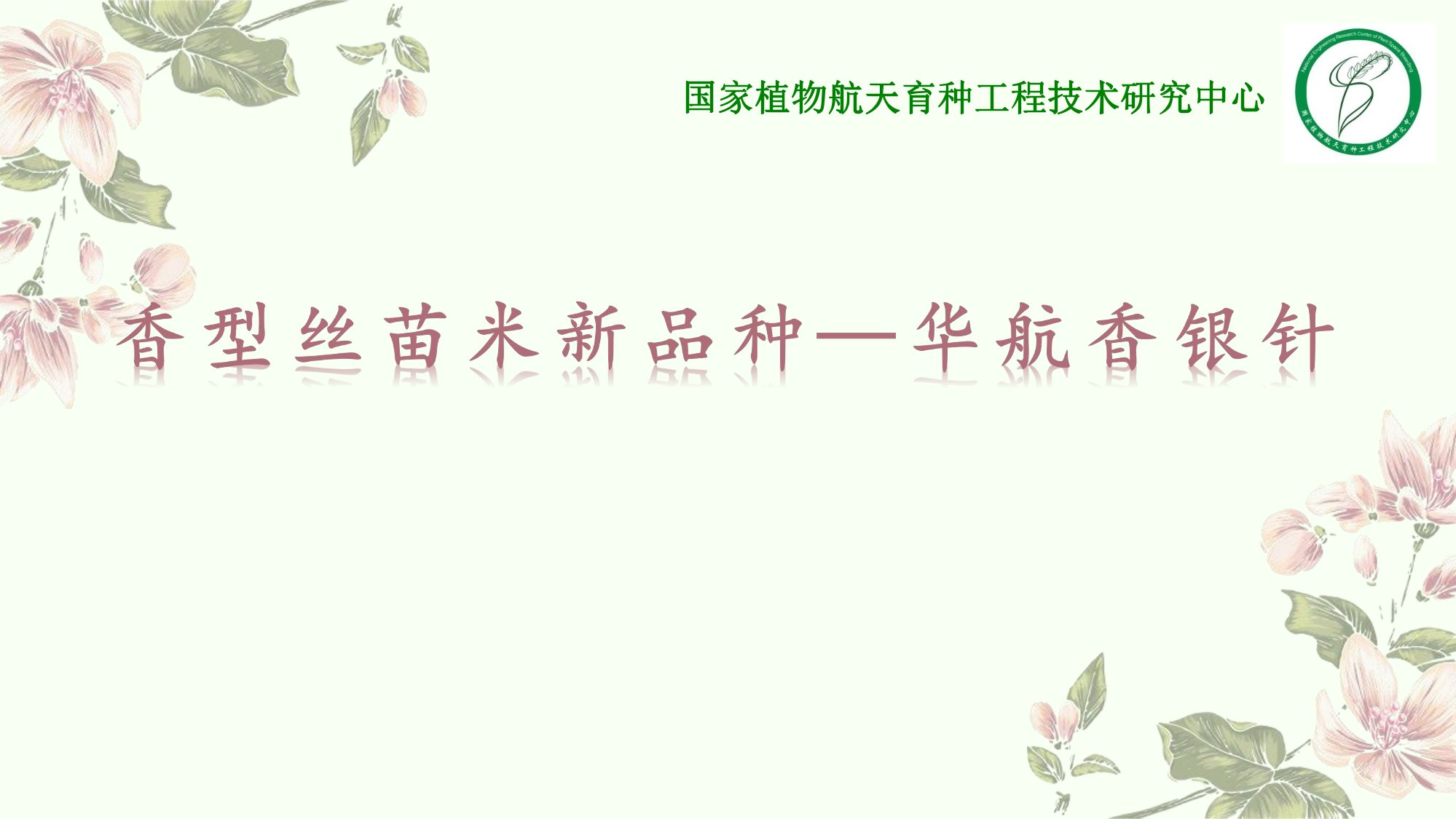 優(yōu)質(zhì)豐產(chǎn)抗病香型絲苗米品種-華航香銀針-華航31號等品種簡介-1.jpg